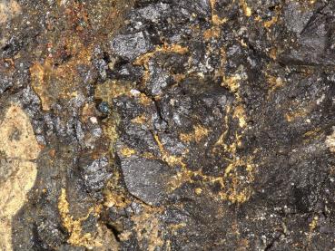 Gold in Pitchblende